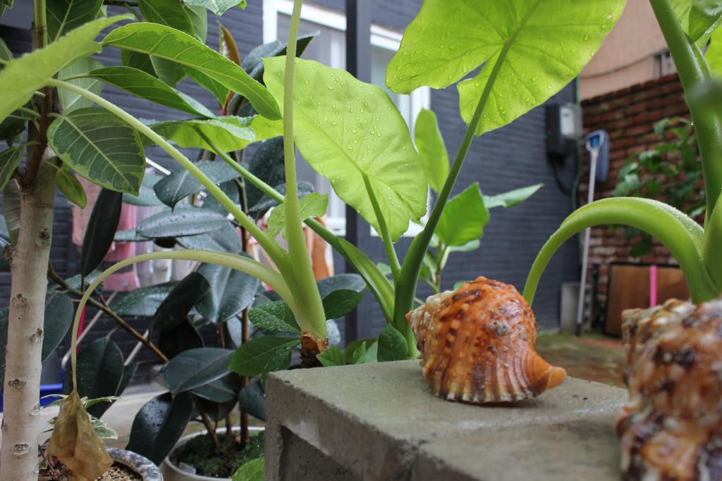 Good Day Mate Hostel Busan Bagian luar foto