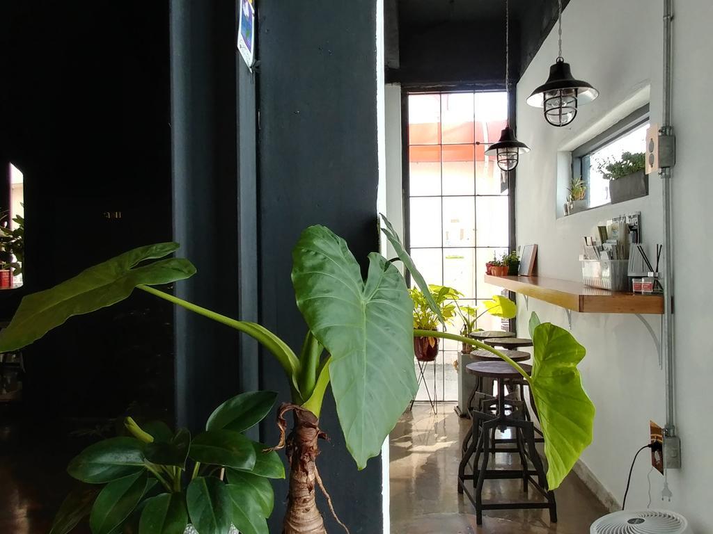 Good Day Mate Hostel Busan Bagian luar foto