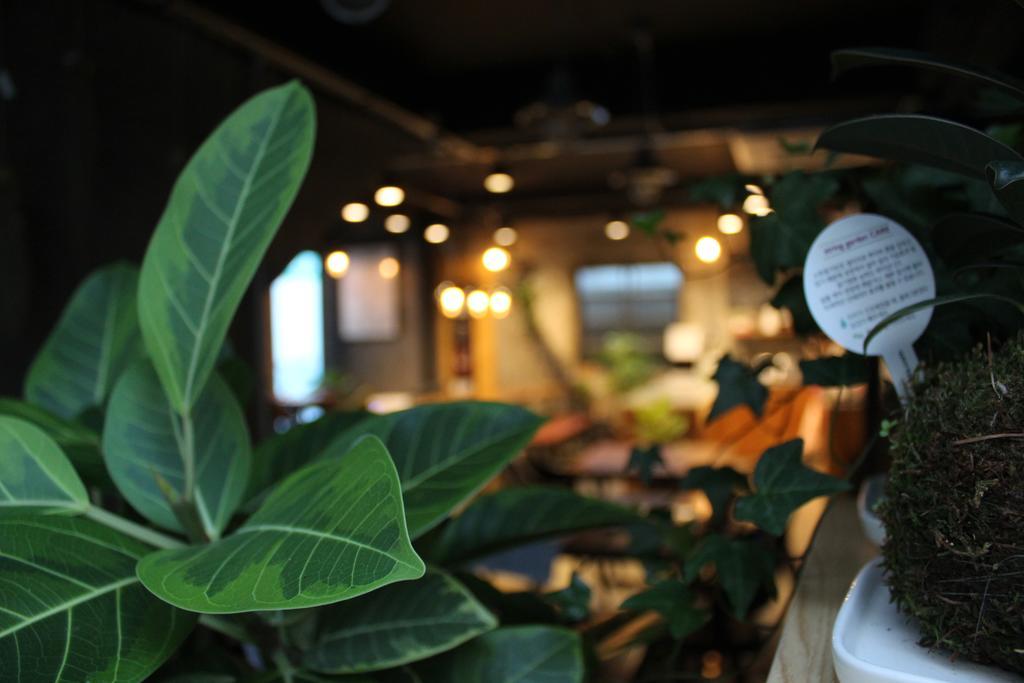 Good Day Mate Hostel Busan Bagian luar foto